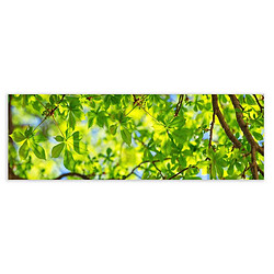 BigBuy Home Cadre Vert 180 x 3 x 60 cm