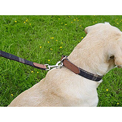 Acheter Eurovideo Vg Rosewood Laisse en Cuir de Luxe pour Chien Tweed à Carreaux cossais 102 cm