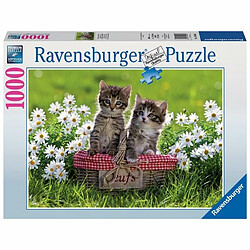 Ludendo Puzzle 1000 pièces Ravensburger - Les chats au pique-nique