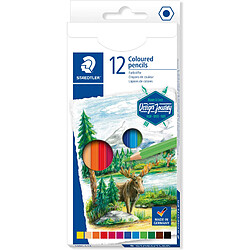 STAEDTLER Crayon couleur Design Journey, étui carton de 12 ()