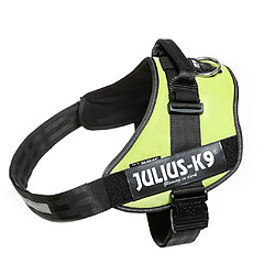 Julius K9 IDC Harnais pour chiens Taille 4 Vert Néon 16IDC-NE-4