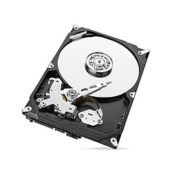 Acheter Seagate Technology ST1000DM010