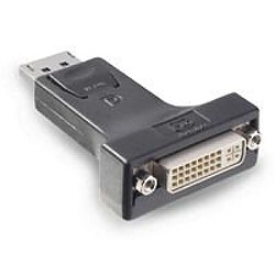 Disney Microconnect Adapter Displayport-DVI M-F