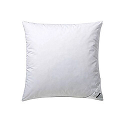 Coussin billerbeck 5453670001 coussin d/f 50 % , env. 40 x 40 cm