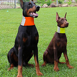 chien chien chat collier réfléchissant chiot chien sécurité sangle de cou jaune s pas cher