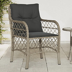 Maison Chic Lot de 2 Chaises de jardin coussins | chaises Relax gris clair résine tressée -GKD45479