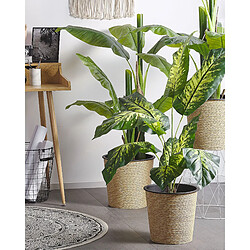 Beliani Plante artificielle DIEFFENBACHIA 122 cm