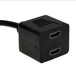 Wewoo DVI 24 + 1 broche noir mâle à 2 x câble femelle diviseur HDMI, longueur: 29,5 cm