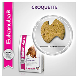 Croquettes pour chien