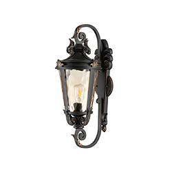 Elstead Lighting Applique murale extérieur Baltimore Verre,Acier Bronze patiné pas cher