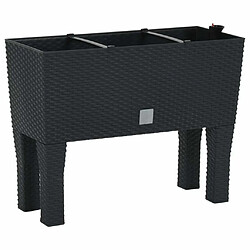 Maison Chic Jardinière,Lit surélevé de jardin - Bac à fleurs - pot de fleur Anthracite 60x25x46 cm PP Rotin -GKD29095