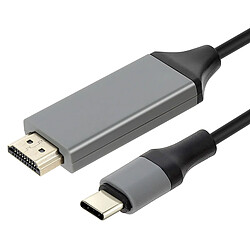 Avizar Câble USB-C 4K HDMI HDTV Ultra HD 2m WIWU - Noir