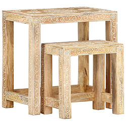 vidaXL Tables d'appoint peintes à la main 2pcs Bois de Manguier solide