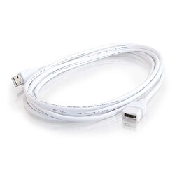 Cables To Go C2G Câble d'extension USB 2.0 mâle A vers femelle A de 3 M - Blanc