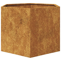 Acheter vidaXL Jardinière hexagone 69x60x45 cm acier corten