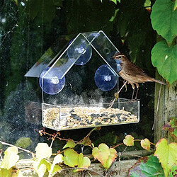 Acheter Fenêtre Mangeoire à Oiseaux avec Une Forte Aspiration Tasses et Bac à Graines, En Plein Air Mangeoire pour Oiseaux Sauvages, Finch, cardinal,