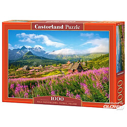 Hala Gsienicowa, Tatras, Poland, Puzzle 1000 Teile - Castorland