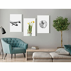 Paris Prix Tableau Imprimé Nature Collection 30 x 60 cm