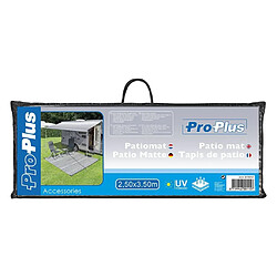 ProPlus Tapis de patio 2,5x3,5 m pas cher