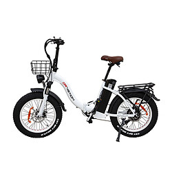 Vélo Électrique DrveTion CT20 - Moteur 750W Batterie 48V10AH Roues de 20 Pouces Freins à Huile - Blanc Perle