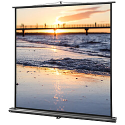 Ecran de projection celexon Ultramobile PRO 180 x 180 | Format 1:1