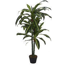 The Home Deco Factory Plante artificielle Dracaena 160 cm.