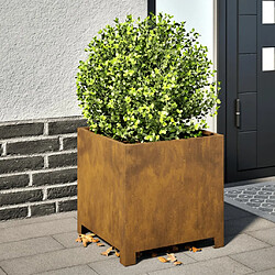 vidaXL Jardinière 40x40x40 cm acier corten