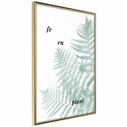 Paris Prix Affiche Murale Encadrée Pale Green Fern 20 x 30 cm Or