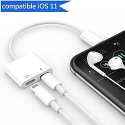 Tech Discount 2 en 1 Adaptateur de Lightning,Double Lightning Casque Chargeur Convertisseur pour Apple iPhone X / 8 Plus / 8 / 7 Plus / 7