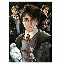 Puzzle Harry Potter 1000 Pièces