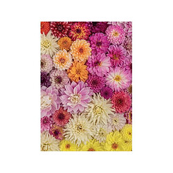 Puzzle - Dahlias (1000 pcs)