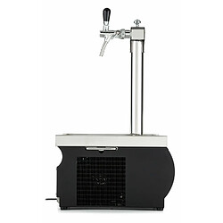 Avis ich-zapfe Tireuse a biere Kontakt 55/K Profi machine a biere, pompe a biere 2 lignes, 50 litres/h, Green Line