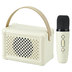 Yonis Enceinte Bluetooth Mini Karaoke HIFI 5W