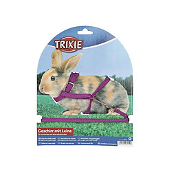 Avis TRIXIE Harnais avec laisse - 8mm - Pour lapin