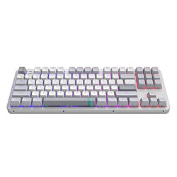 Dark Project ALU Daylight - Clavier Mécanique Gaming ANSI (ENG)