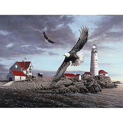 Universal Jigsaw Puzzle Eagle 1000 pièces jeux famille adultes enfants éducatifs t