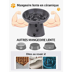 Acheter YYHY 15cm/118ml Mangeoire Lente pour Chats,Bol de Nourriture pour Chat Mangeoire Lente surélevée pour Chiens Bol en céramique pour Chat Anti-Vomi,Gris