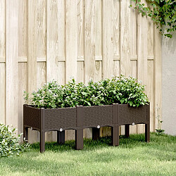 Maison Chic Jardinière,Bac à fleurs - pot de fleur avec pieds marron 120x40x42 cm PP -GKD58828