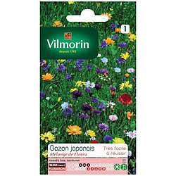 Vilmorin Sachet graines Gazon Japonais surface 4m²