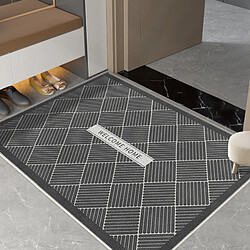 LUUCOZK Tapis de porte d'entrée antidérapants pour entrée intérieure, motif 16-100x120cm