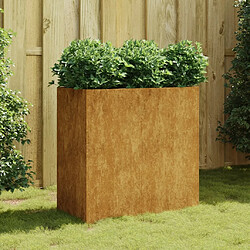 Maison Chic Jardinière,Bac à fleurs - pot de fleur 80x40x80 cm acier corten -GKD60648