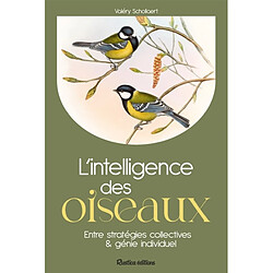 L'intelligence des oiseaux : entre stratégies collectives & génie individuel