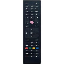 SANAG 3In1 Rc4849 4870 4875 Remplacement De La Telecommande Convient Pour Vestel Telefunken Jvc Finlux Sharp Selecline Hitachi Techwood Technika Gogen Tv Models