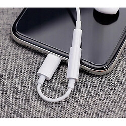 GUPBOO Adaptateur MMX62ZM/A 3.5 pour Apple iPhone LIGHTNING,JL1260