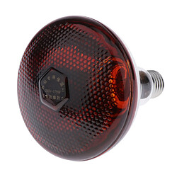 Lampe chauffante pour Reptiles et Amphibiens