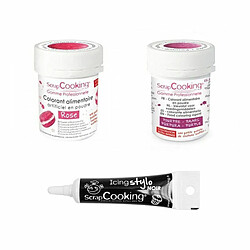 Scrapcooking 2 colorants alimentaires pourpre-rose + Stylo glaçage noir