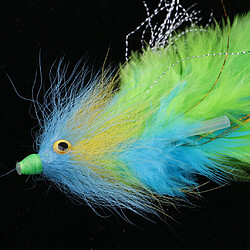 Avis truite saumon steelhead pêche à la mouche streamer vole eau salée verte avec tube