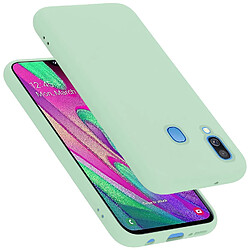 Cadorabo Coque Samsung Galaxy A40 Etui en Vert