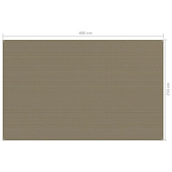 Avis vidaXL Tapis de tente 250x400 cm Taupe