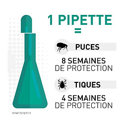 FRONTLINE Combo chien 10-20kg - 6 pipettes